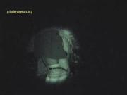 image hosted at ImgDrive.net