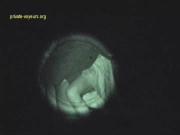 image hosted at ImgDrive.net