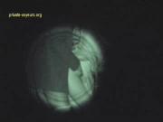 image hosted at ImgDrive.net