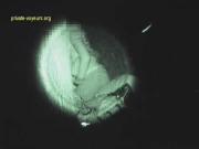 image hosted at ImgDrive.net