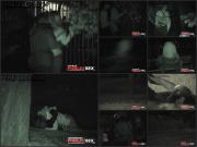 image hosted at ImgDrive.net