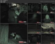 image hosted at ImgDrive.net