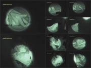 image hosted at ImgDrive.net