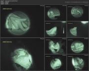 image hosted at ImgDrive.net