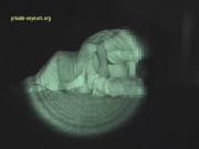 image hosted at ImgDrive.net