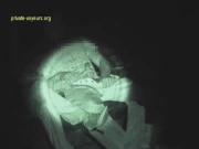 image hosted at ImgDrive.net