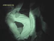 image hosted at ImgDrive.net