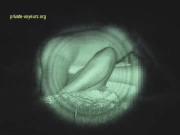 image hosted at ImgDrive.net