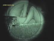 image hosted at ImgDrive.net