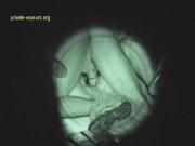 image hosted at ImgDrive.net