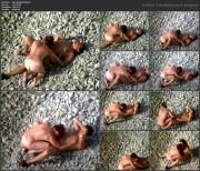 image hosted at ImgDrive.net