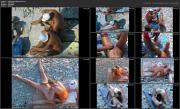 image hosted at ImgDrive.net