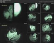 image hosted at ImgDrive.net