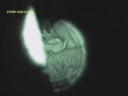 image hosted at ImgDrive.net