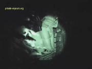 image hosted at ImgDrive.net