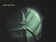 image hosted at ImgDrive.net