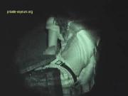 image hosted at ImgDrive.net