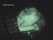 image hosted at ImgDrive.net