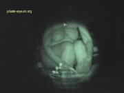 image hosted at ImgDrive.net