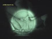 image hosted at ImgDrive.net