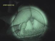 image hosted at ImgDrive.net