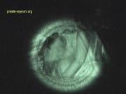 image hosted at ImgDrive.net