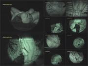 image hosted at ImgDrive.net