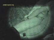 image hosted at ImgDrive.net