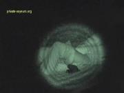 image hosted at ImgDrive.net