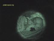 image hosted at ImgDrive.net