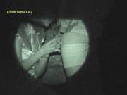 image hosted at ImgDrive.net