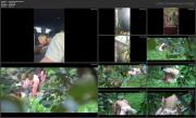 6884fc9c1d606 Camera Paradiso 375