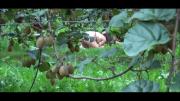 6884fc9cb2ac0 Camera Paradiso 375