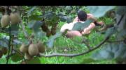6884fc9d1c586 Camera Paradiso 375