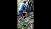 6888744514d3b Camera Paradiso 381