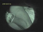 image hosted at ImgDrive.net