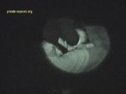 image hosted at ImgDrive.net