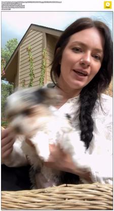 image hosted at ImgDrive.net