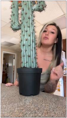 image hosted at ImgDrive.net