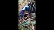 68b2a40ea1c15 Camera Paradiso 390