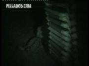 image hosted at ImgDrive.net