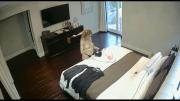68be9da3187b7 Camera Paradiso 399