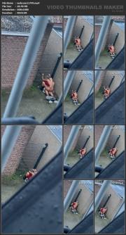 image hosted at ImgDrive.net