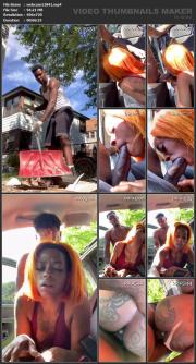 image hosted at ImgDrive.net