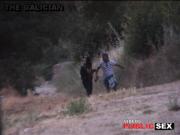 image hosted at ImgDrive.net