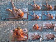 image hosted at ImgDrive.net