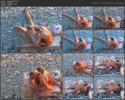 image hosted at ImgDrive.net