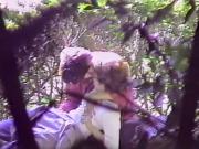 image hosted at ImgDrive.net