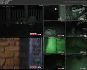 image hosted at ImgDrive.net