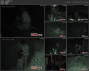 image hosted at ImgDrive.net